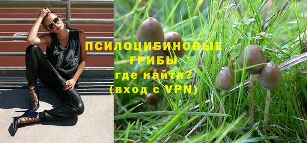 винт Алексеевка